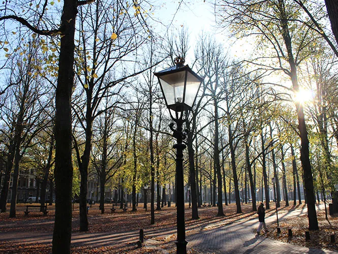 Lange Voorhout Den Haag