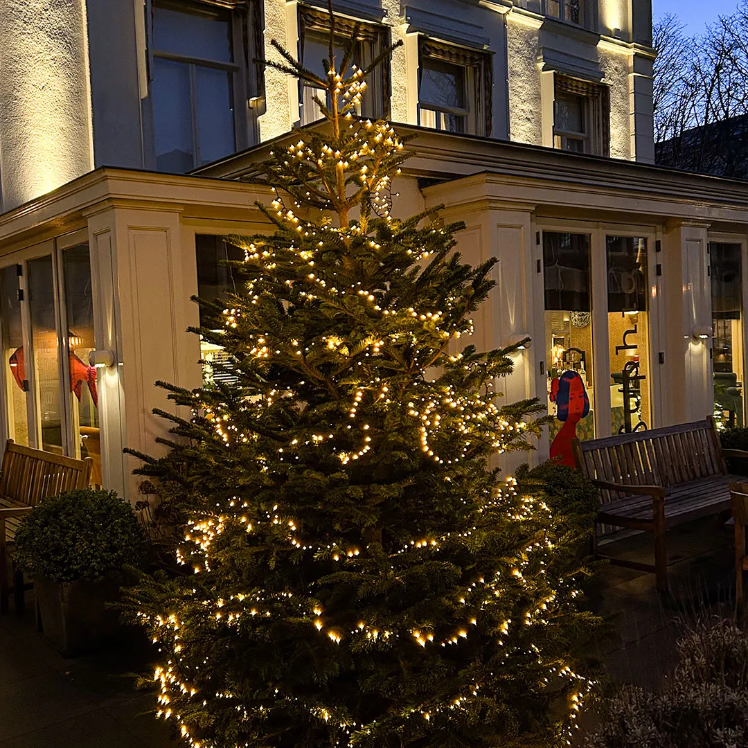 Christmas tree on the terrace of the Carlton Ambassador Hotel